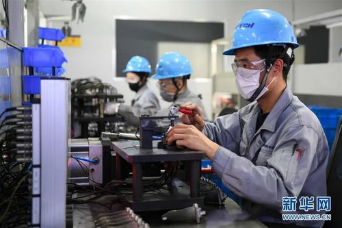 进工厂还是送外卖？职业选择的理性分析与未来展望